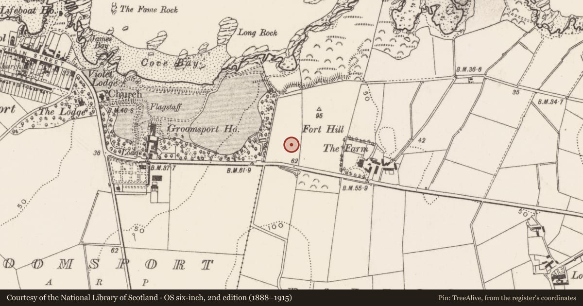 Ordnance Survey six-inch map, 2nd edition (1888–1915) covering the location of Fountain No.4, Baloo Lower, Ards and North Down, with a pin at the register's coordinates