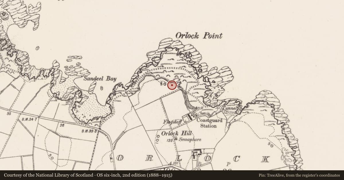 Ordnance Survey six-inch map, 2nd edition (1888–1915) covering the location of Gun House and Magazine Stores, Orlock Coastal Battery, In the grounds of 25 Coastguard Lane, Orlock, Groomsport, Co Down BT19 6LR, Ards and North Down, with a pin at the register's coordinates
