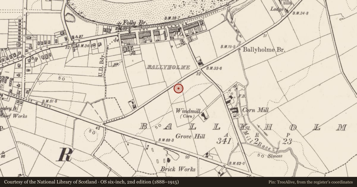 Ordnance Survey six-inch map, 2nd edition (1888–1915) covering the location of St Columbanus, Ballyholme, Ards and North Down, with a pin at the register's coordinates