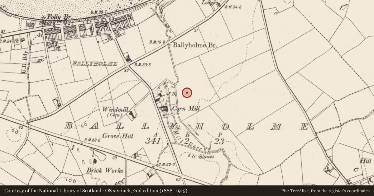 Ordnance Survey six-inch map, 2nd edition (1888–1915) covering the location of Hall, Ards and North Down, with a pin at the register's coordinates