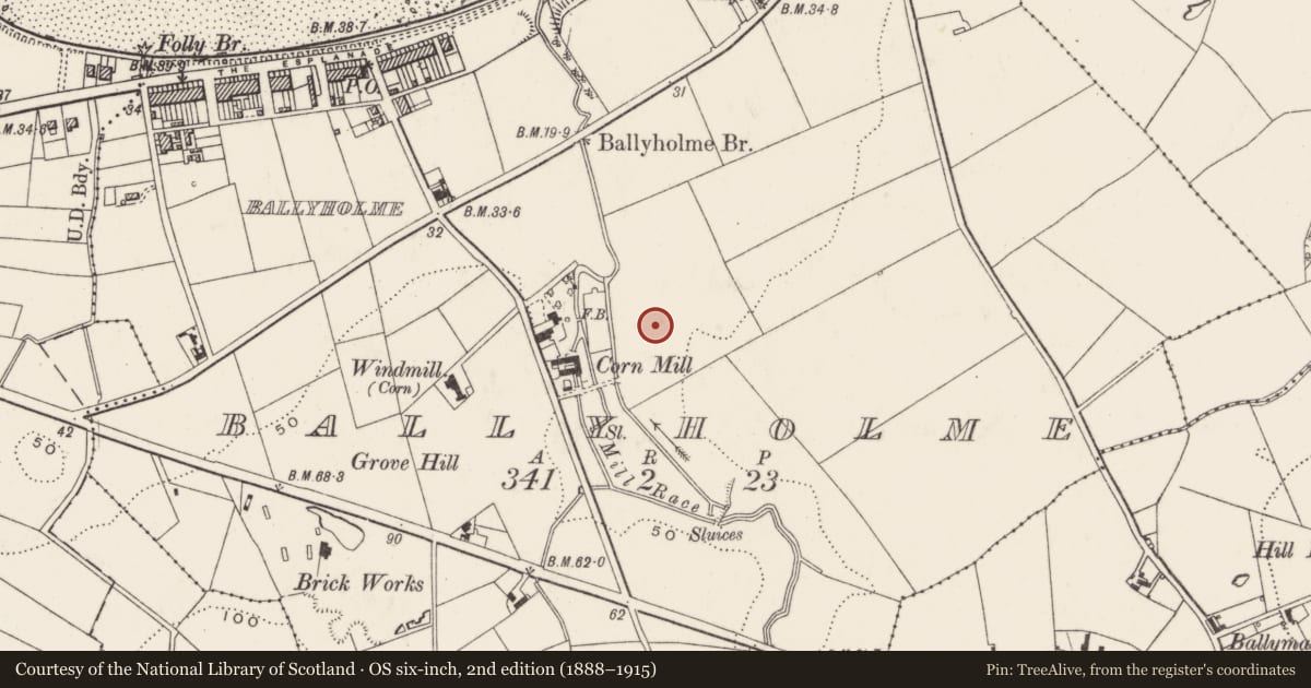 Ordnance Survey six-inch map, 2nd edition (1888–1915) covering the location of Ballyholme Presbyterian Church, Ards and North Down, with a pin at the register's coordinates