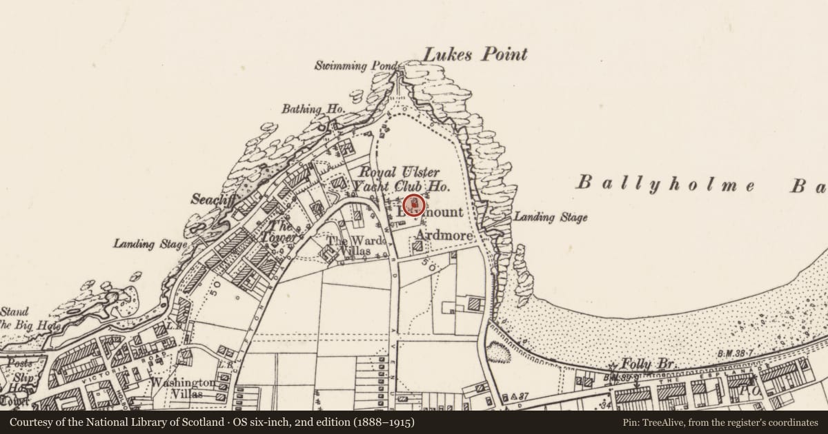 Ordnance Survey six-inch map, 2nd edition (1888–1915) covering the location of 82-84 Ward Avenue, Ards and North Down, with a pin at the register's coordinates