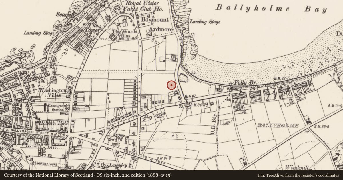 Ordnance Survey six-inch map, 2nd edition (1888–1915) covering the location of Ballyholme Residential Hotel, Ards and North Down, with a pin at the register's coordinates