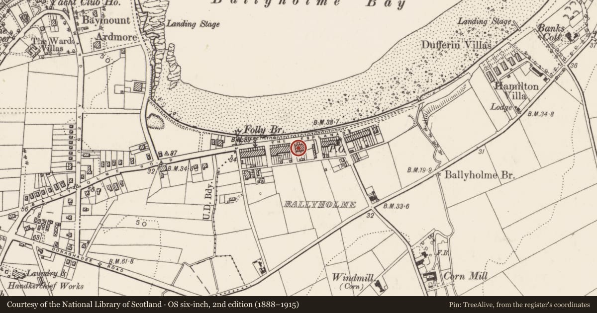 Ordnance Survey six-inch map, 2nd edition (1888–1915) covering the location of 24, 25, 26, 27 The Esplanade, Ards and North Down, with a pin at the register's coordinates