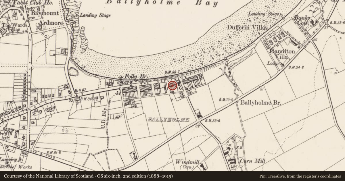 Ordnance Survey six-inch map, 2nd edition (1888–1915) covering the location of 36-37 The Esplanade, Ards and North Down, with a pin at the register's coordinates