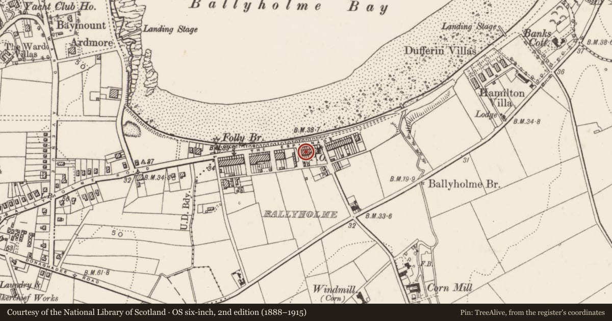 Ordnance Survey six-inch map, 2nd edition (1888–1915) covering the location of 36 The Esplanade, Ards and North Down, with a pin at the register's coordinates