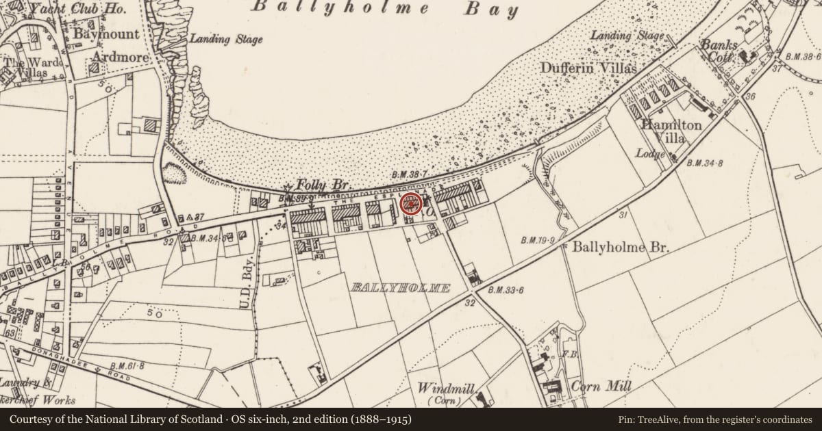 Ordnance Survey six-inch map, 2nd edition (1888–1915) covering the location of 37 The Esplanade, Ards and North Down, with a pin at the register's coordinates