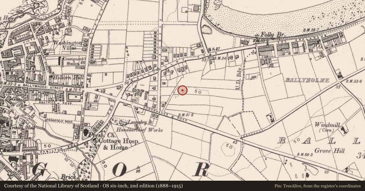 Ordnance Survey six-inch map, 2nd edition (1888–1915) covering the location of 6 Bayland’s Fifth Avenue, Ards and North Down, with a pin at the register's coordinates