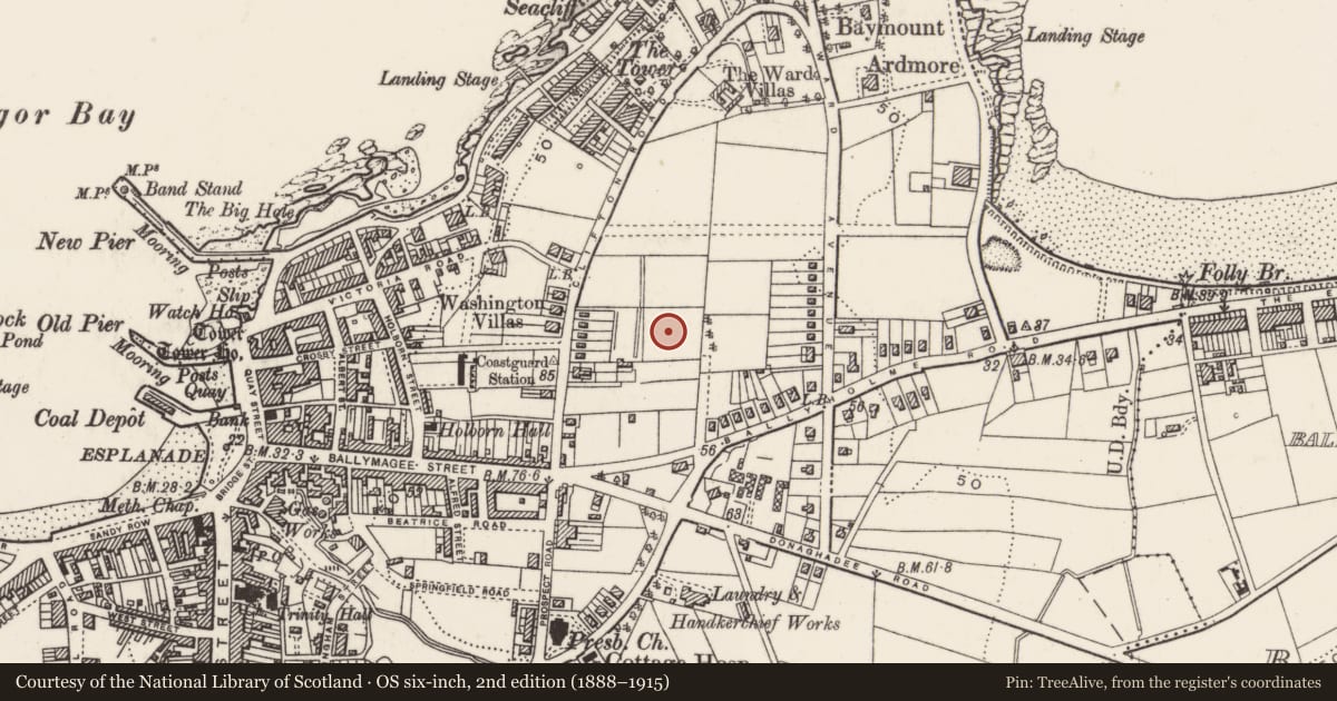 Ordnance Survey six-inch map, 2nd edition (1888–1915) covering the location of Bangor Grammar School, Corporation, Ards and North Down, with a pin at the register's coordinates