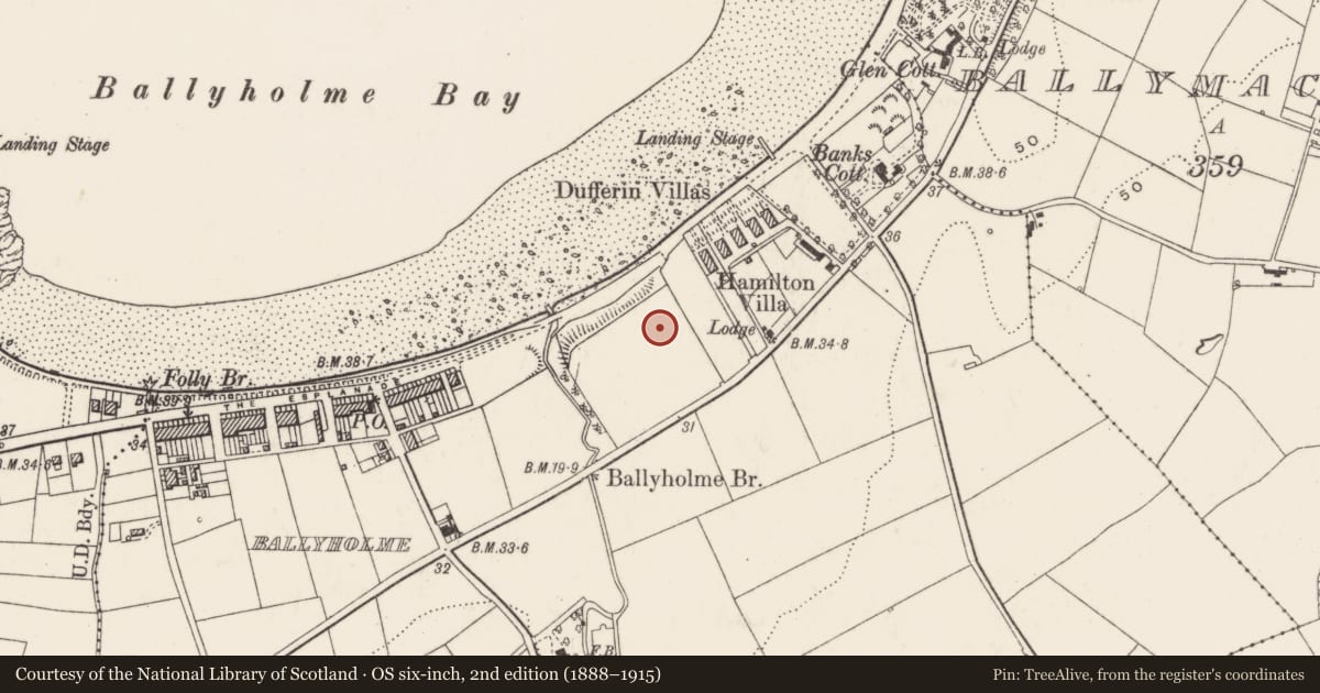 Ordnance Survey six-inch map, 2nd edition (1888–1915) covering the location of 143 Groomsport Road, Ballyholme, Ards and North Down, with a pin at the register's coordinates