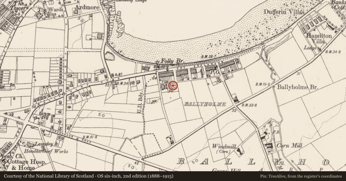 Ordnance Survey six-inch map, 2nd edition (1888–1915) covering the location of 2 Godfrey Avenue, Ballyholme, Ards and North Down, with a pin at the register's coordinates