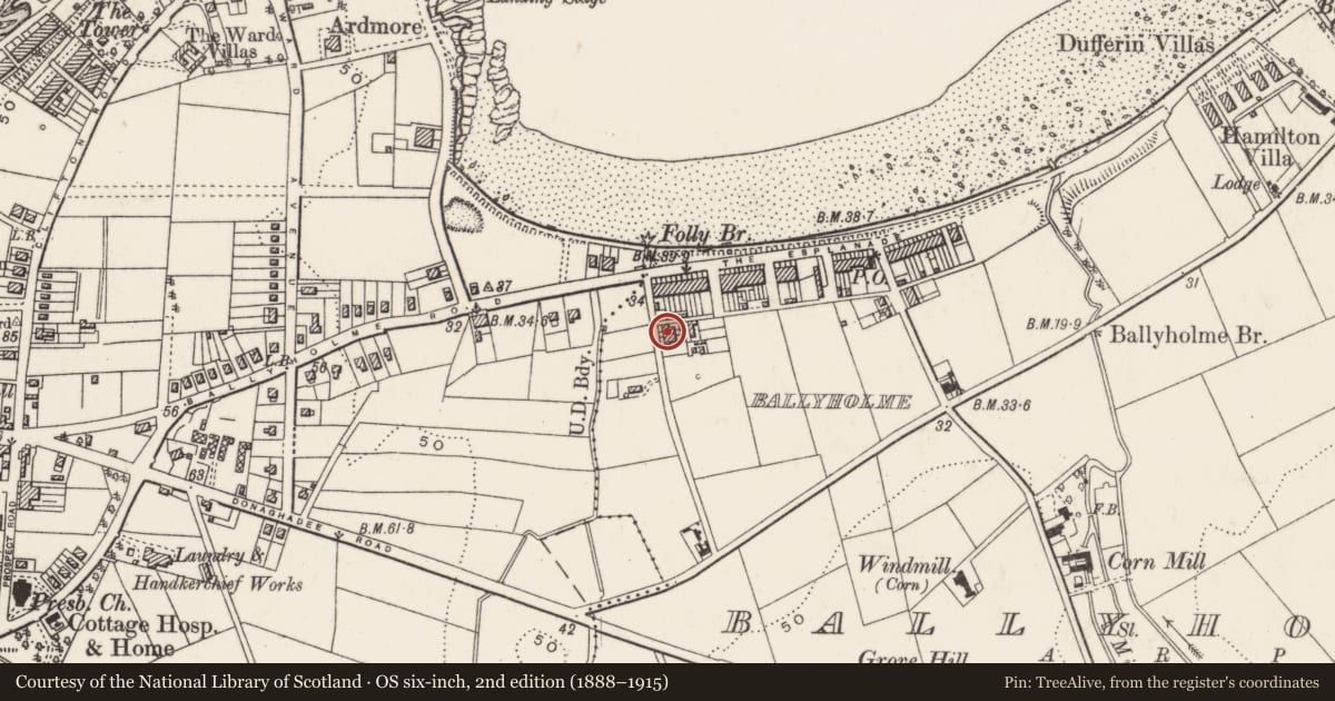 Ordnance Survey six-inch map, 2nd edition (1888–1915) covering the location of 5 Waverley Drive, Ballyholme, Ards and North Down, with a pin at the register's coordinates