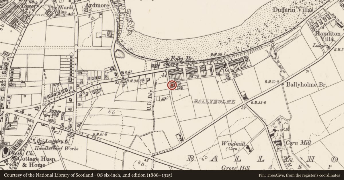 Ordnance Survey six-inch map, 2nd edition (1888–1915) covering the location of 7 Waverley Drive, Ballyholme, Ards and North Down, with a pin at the register's coordinates