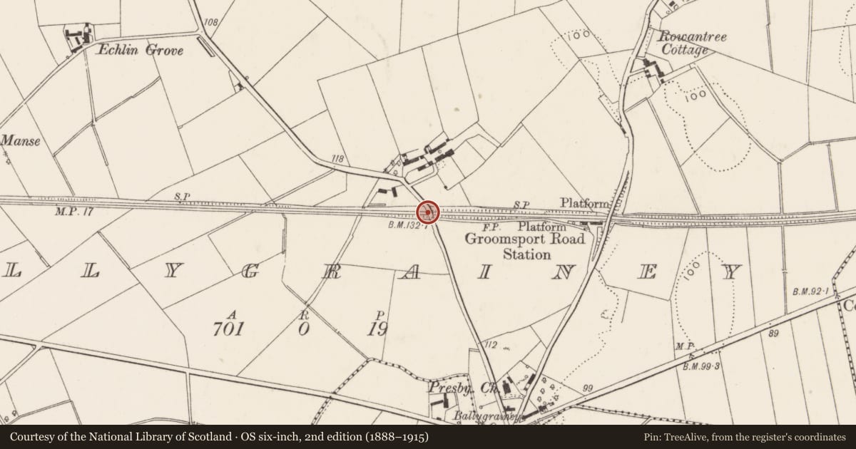 Ordnance Survey six-inch map, 2nd edition (1888–1915) covering the location of Bridge, Ballygrainey, Ards and North Down, with a pin at the register's coordinates