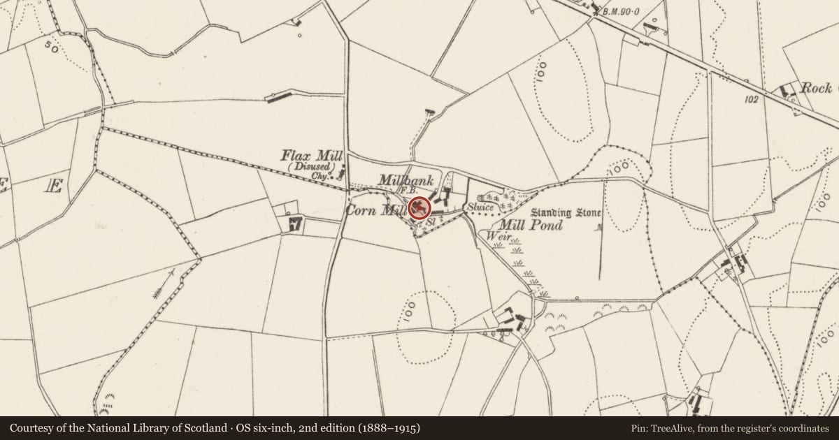 Ordnance Survey six-inch map, 2nd edition (1888–1915) covering the location of Millbrook Corn Mill, Ards and North Down, with a pin at the register's coordinates