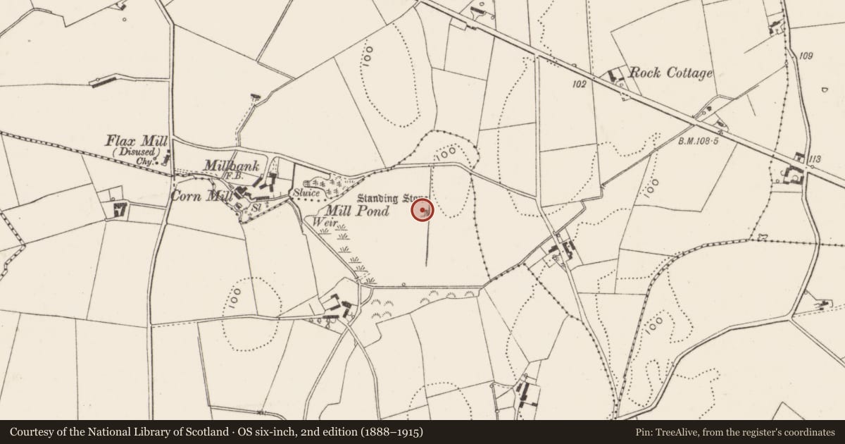 Ordnance Survey six-inch map, 2nd edition (1888–1915) covering the location of Standing Stone, Ards and North Down, with a pin at the register's coordinates