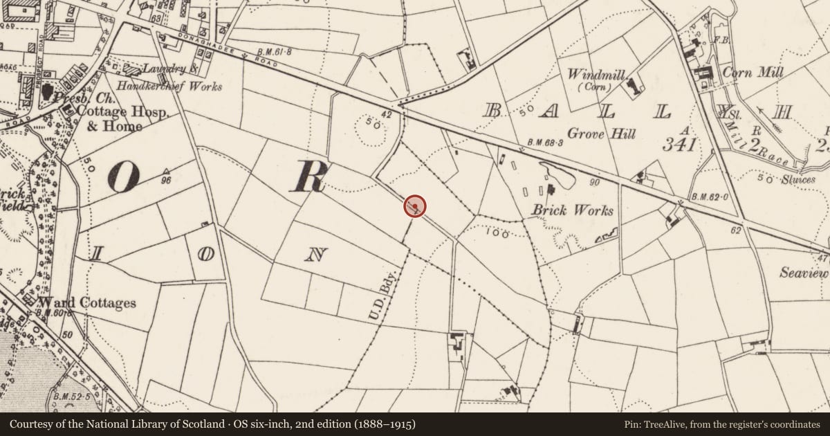 Ordnance Survey six-inch map, 2nd edition (1888–1915) covering the location of 20 Beverley Hills, Ards and North Down, with a pin at the register's coordinates