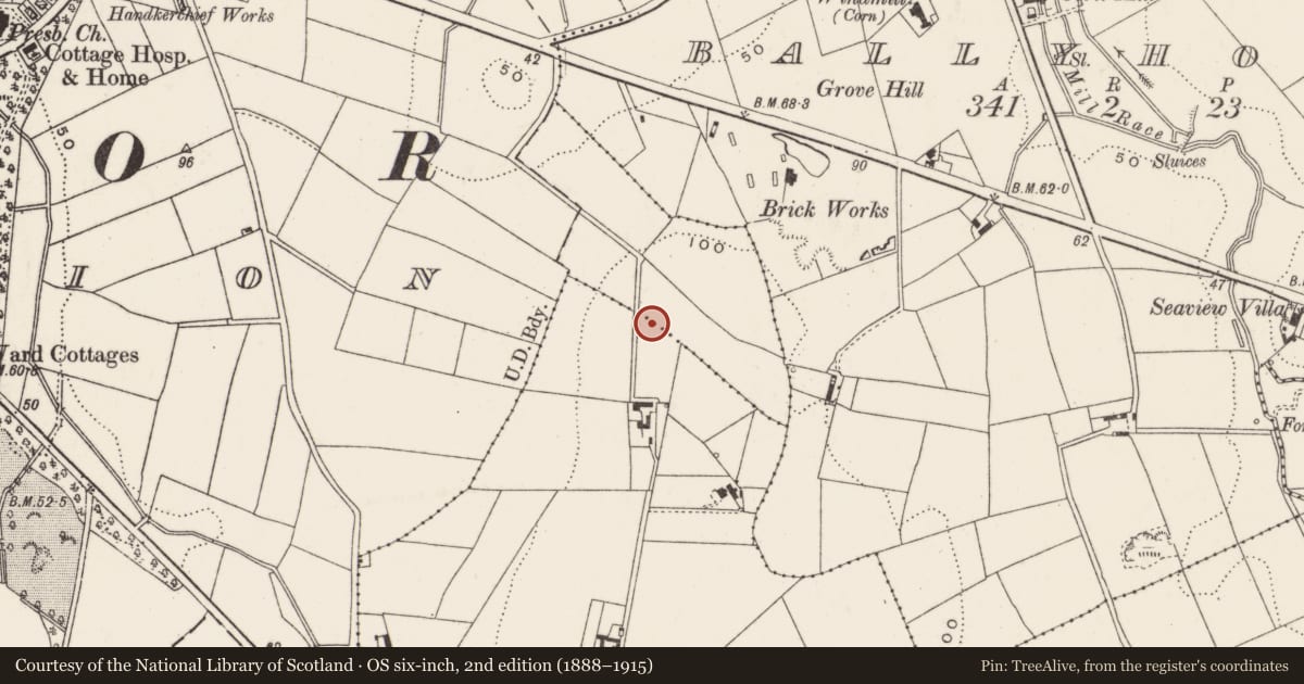 Ordnance Survey six-inch map, 2nd edition (1888–1915) covering the location of 45 Beverley Hills, Ards and North Down, with a pin at the register's coordinates