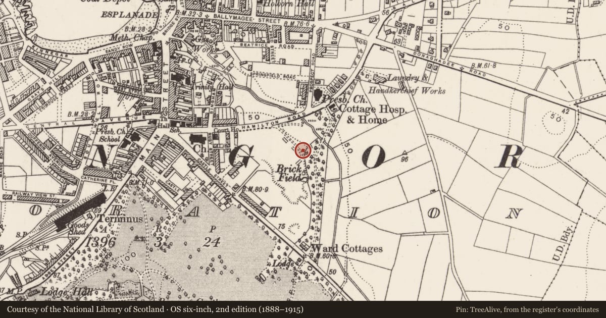 Ordnance Survey six-inch map, 2nd edition (1888–1915) covering the location of Gun Trophy, Ards and North Down, with a pin at the register's coordinates