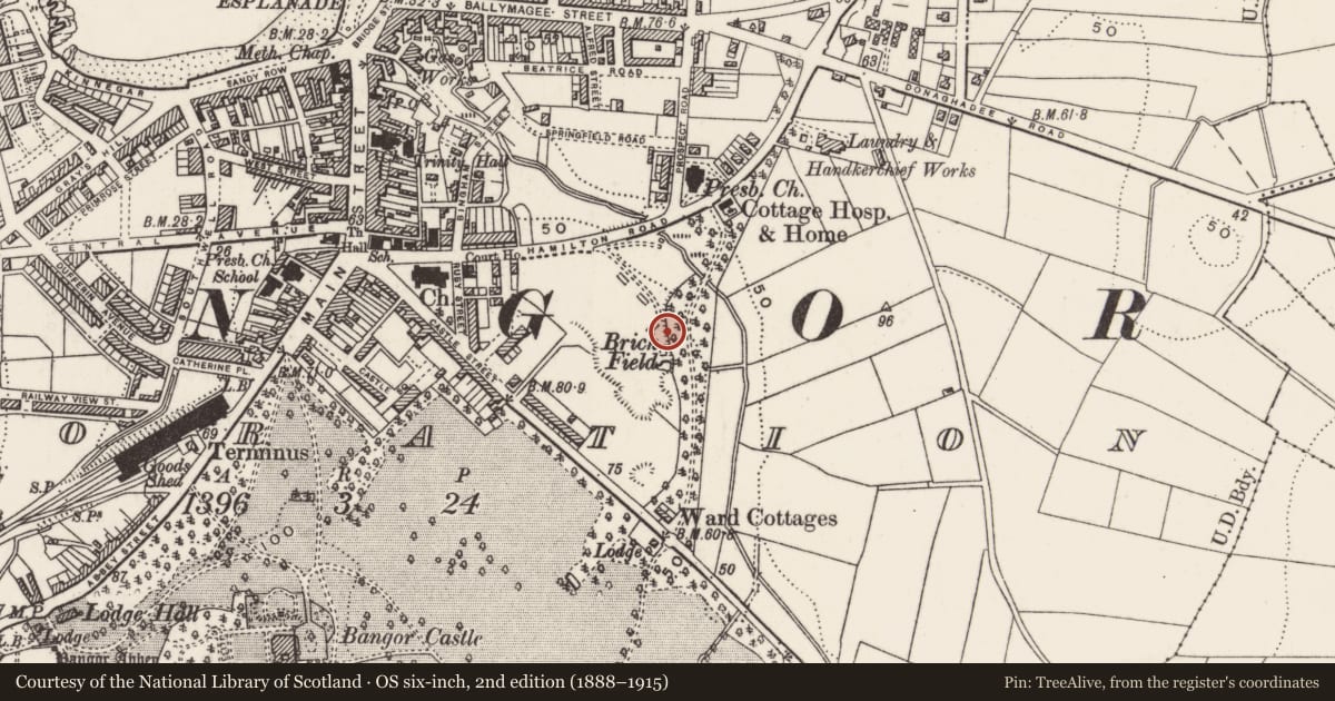 Ordnance Survey six-inch map, 2nd edition (1888–1915) covering the location of Bangor War Memorial, Corporation, Ards and North Down, with a pin at the register's coordinates