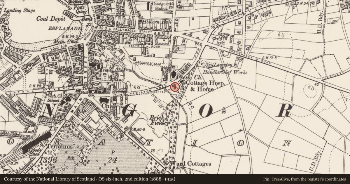 Ordnance Survey six-inch map, 2nd edition (1888–1915) covering the location of Bangor Carnegie Library, Corporation, Ards and North Down, with a pin at the register's coordinates