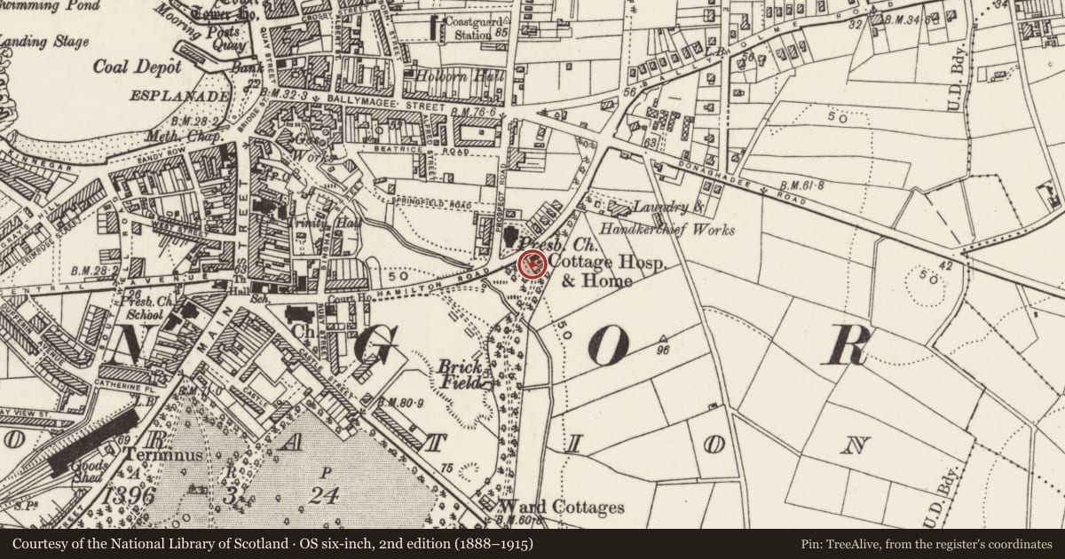 Ordnance Survey six-inch map, 2nd edition (1888–1915) covering the location of 82 Hamilton Road, Corporation, Ards and North Down, with a pin at the register's coordinates