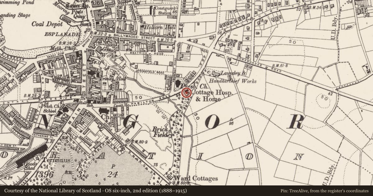 Ordnance Survey six-inch map, 2nd edition (1888–1915) covering the location of 84 Hamilton Road, Corporation, Ards and North Down, with a pin at the register's coordinates