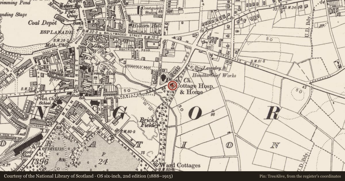 Ordnance Survey six-inch map, 2nd edition (1888–1915) covering the location of 86 Hamilton Road, Corporation, Ards and North Down, with a pin at the register's coordinates