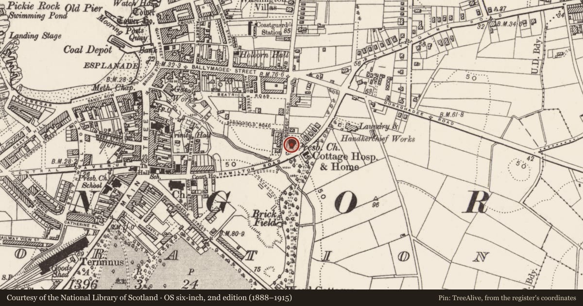 Ordnance Survey six-inch map, 2nd edition (1888–1915) covering the location of Hamilton Road Presbyterian Church, Corporation, Ards and North Down, with a pin at the register's coordinates