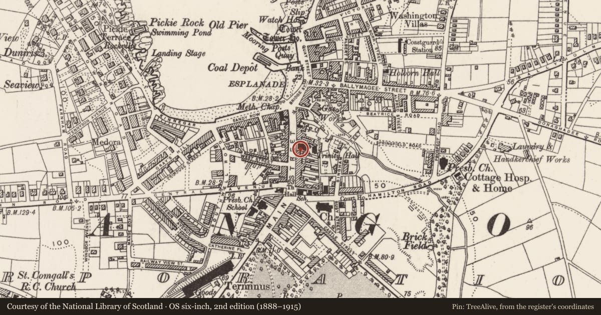 Ordnance Survey six-inch map, 2nd edition (1888–1915) covering the location of Trinity Presbyterian Church, Corporation, Ards and North Down, with a pin at the register's coordinates