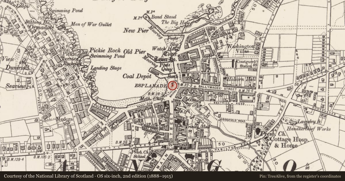 Ordnance Survey six-inch map, 2nd edition (1888–1915) covering the location of McKee Clock Tower, Corporation, Ards and North Down, with a pin at the register's coordinates