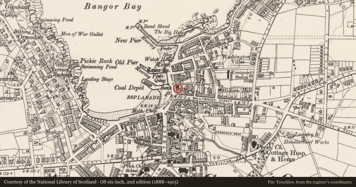 Ordnance Survey six-inch map, 2nd edition (1888–1915) covering the location of Petty Sessions Court, Corporation, Ards and North Down, with a pin at the register's coordinates