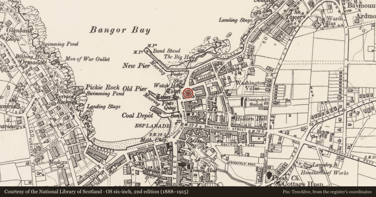Ordnance Survey six-inch map, 2nd edition (1888–1915) covering the location of 2 Victoria Road, Corporation, Ards and North Down, with a pin at the register's coordinates