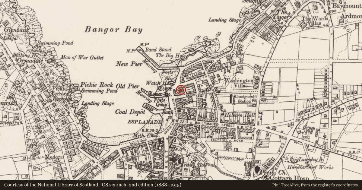 Ordnance Survey six-inch map, 2nd edition (1888–1915) covering the location of 6 Victoria Road, Corporation, Ards and North Down, with a pin at the register's coordinates