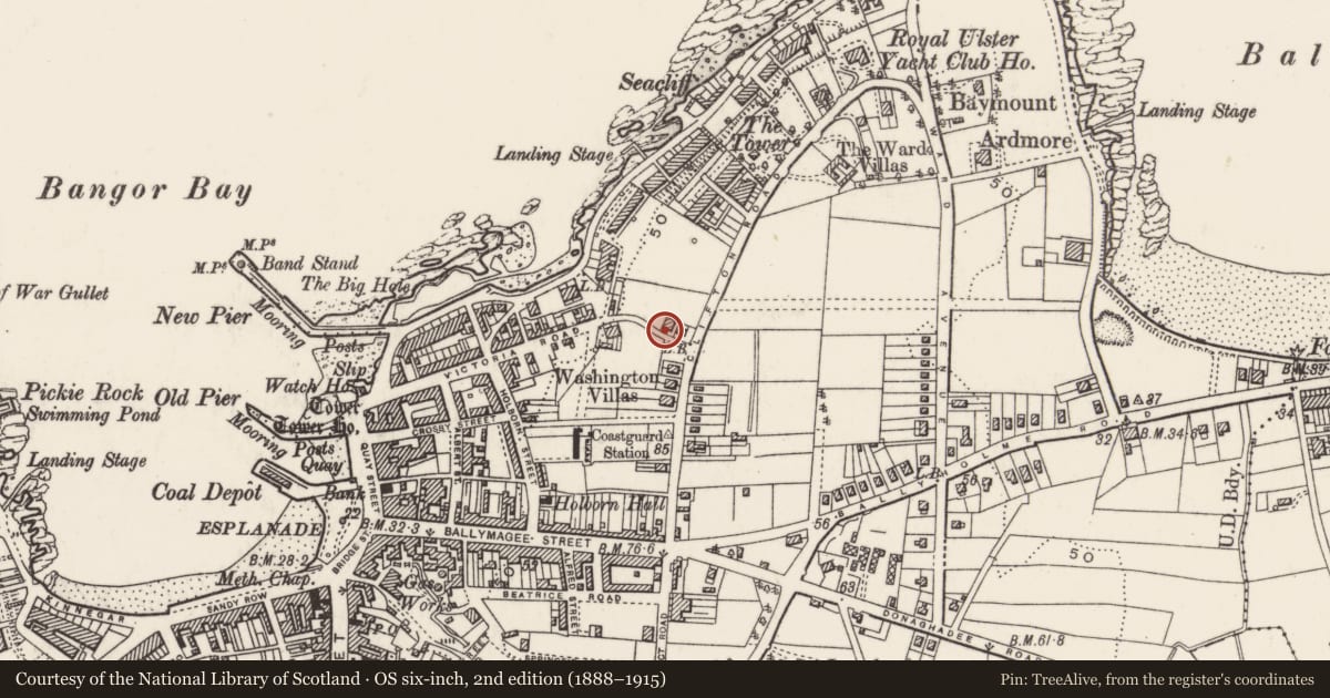 Ordnance Survey six-inch map, 2nd edition (1888–1915) covering the location of 121, 123, 125 Victoria Road, Ards and North Down, with a pin at the register's coordinates