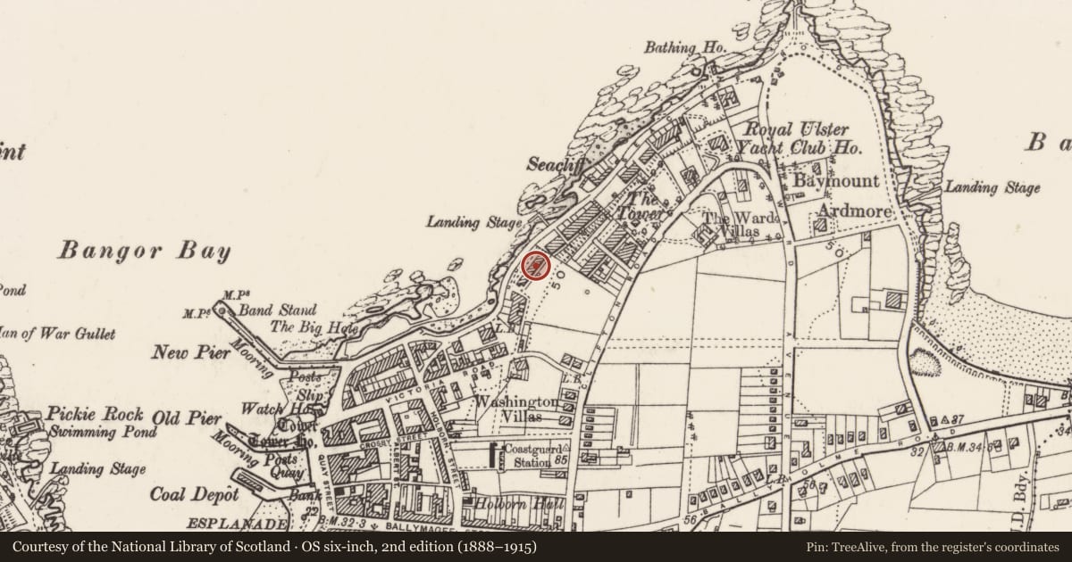 Ordnance Survey six-inch map, 2nd edition (1888–1915) covering the location of 110 Seacliff Road, Corporation, Ards and North Down, with a pin at the register's coordinates