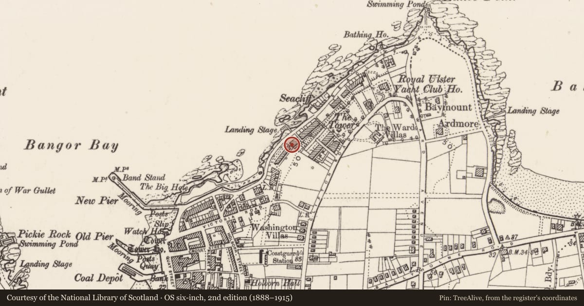 Ordnance Survey six-inch map, 2nd edition (1888–1915) covering the location of 116 Seacliff Road, Ards and North Down, with a pin at the register's coordinates
