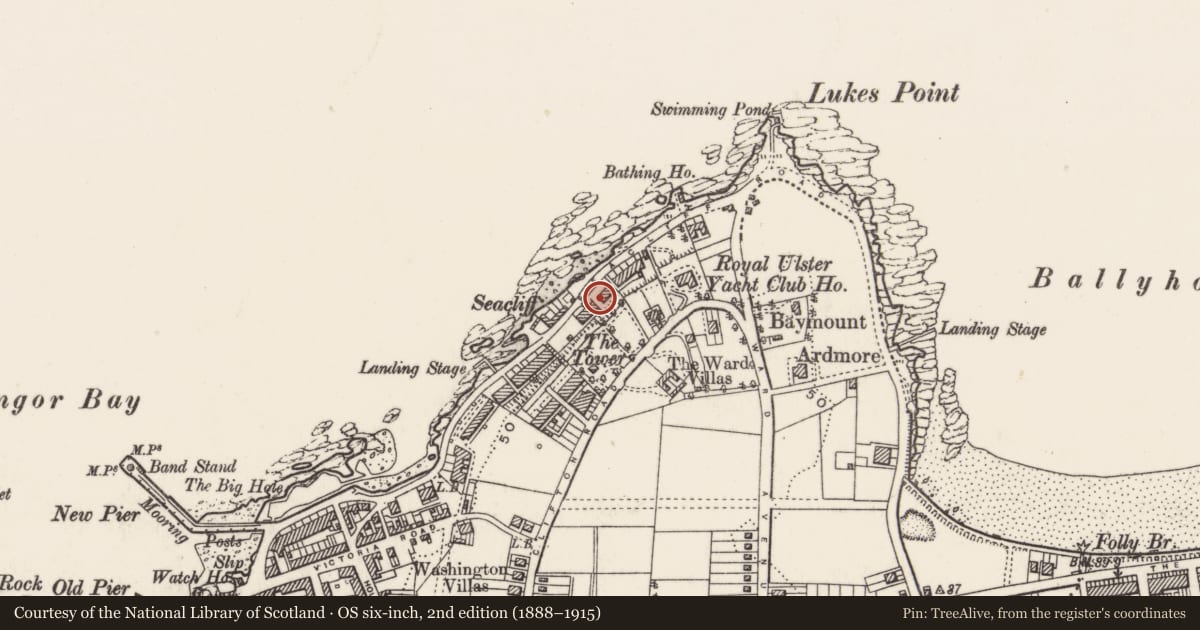 Ordnance Survey six-inch map, 2nd edition (1888–1915) covering the location of 172-174 Seacliff Road, Ards and North Down, with a pin at the register's coordinates