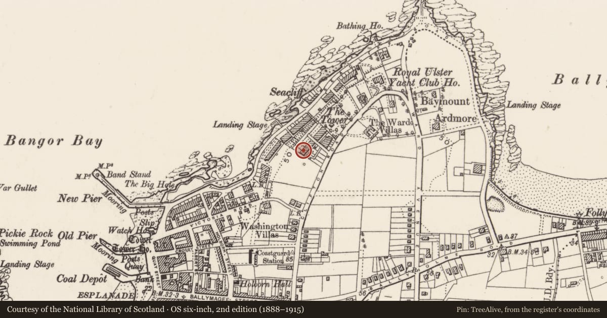 Ordnance Survey six-inch map, 2nd edition (1888–1915) covering the location of 1-7 Victoria Terrace, Ards and North Down, with a pin at the register's coordinates