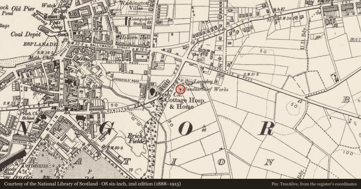 Ordnance Survey six-inch map, 2nd edition (1888–1915) covering the location of Tonic Cinema, Ards and North Down, with a pin at the register's coordinates