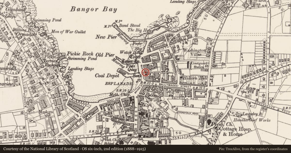 Ordnance Survey six-inch map, 2nd edition (1888–1915) covering the location of 18-22 Quay Street, Ards and North Down, with a pin at the register's coordinates