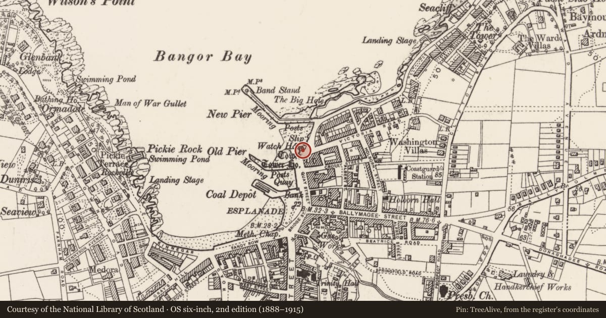 Ordnance Survey six-inch map, 2nd edition (1888–1915) covering the location of Boat House Restaurant, Corporation, Ards and North Down, with a pin at the register's coordinates