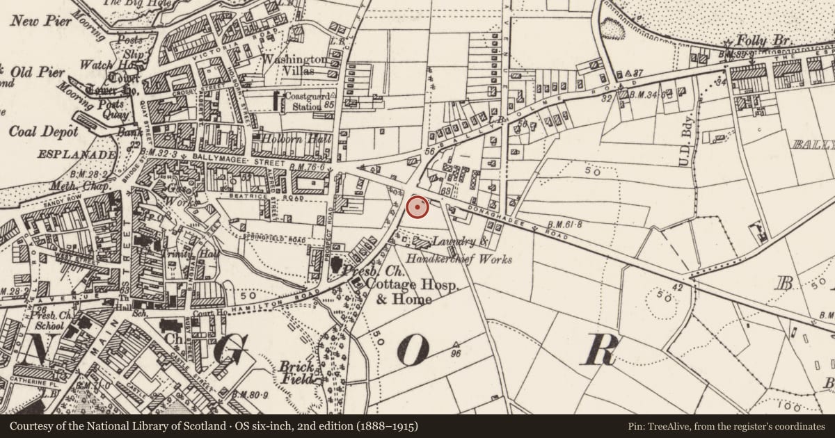 Ordnance Survey six-inch map, 2nd edition (1888–1915) covering the location of The Savoy, Corporation, Ards and North Down, with a pin at the register's coordinates