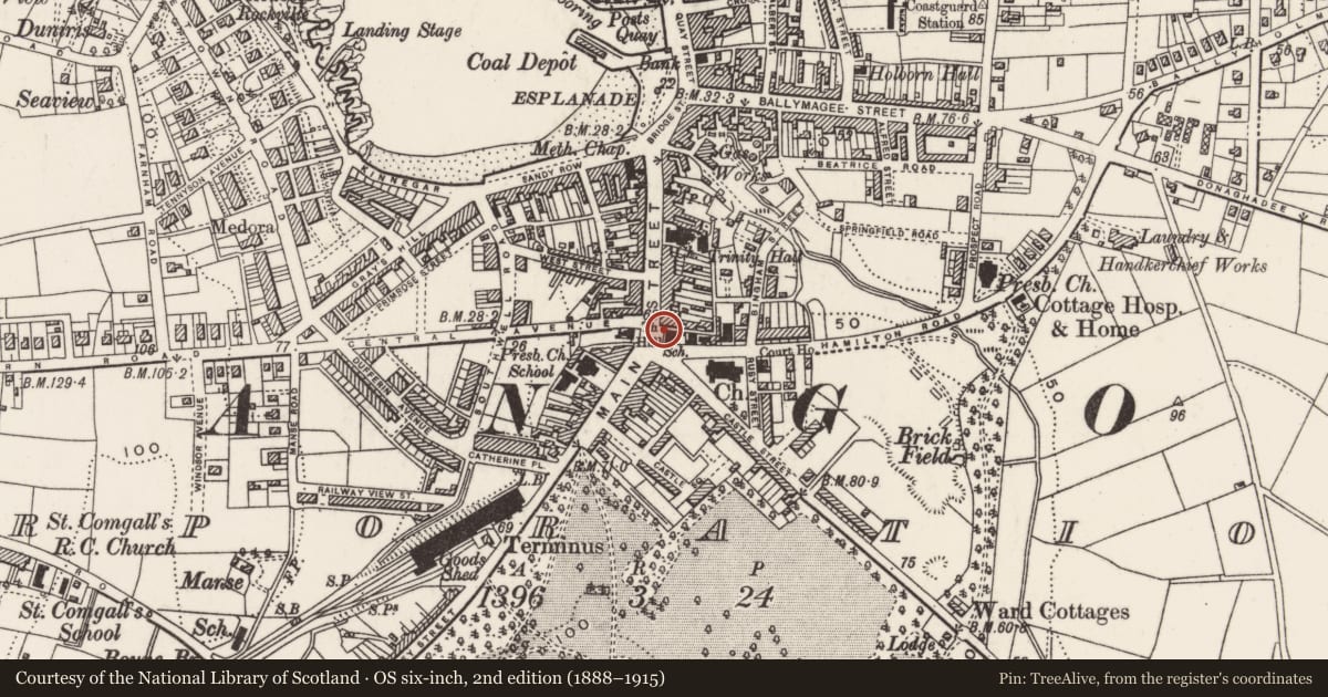 Ordnance Survey six-inch map, 2nd edition (1888–1915) covering the location of Ulster Bank, Corporation, Ards and North Down, with a pin at the register's coordinates