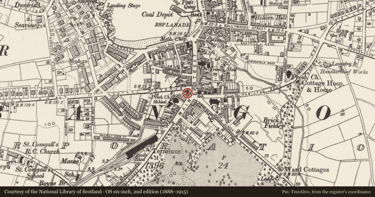 Ordnance Survey six-inch map, 2nd edition (1888–1915) covering the location of Bank of Ireland, Corporation, Ards and North Down, with a pin at the register's coordinates