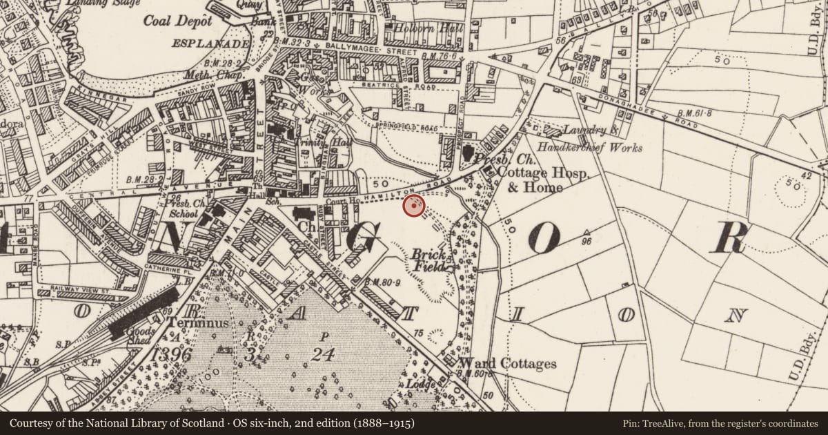 Ordnance Survey six-inch map, 2nd edition (1888–1915) covering the location of Hamilton House Community Centre, Corporation, Ards and North Down, with a pin at the register's coordinates