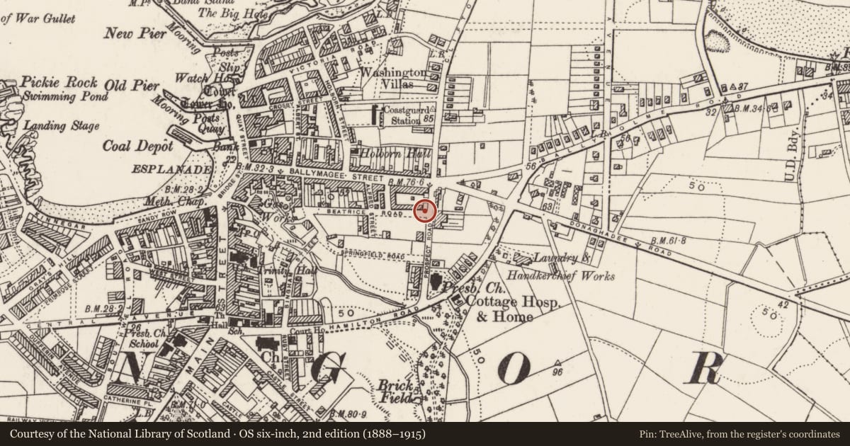 Ordnance Survey six-inch map, 2nd edition (1888–1915) covering the location of Shop ('Ceramica'), Corporation, Ards and North Down, with a pin at the register's coordinates