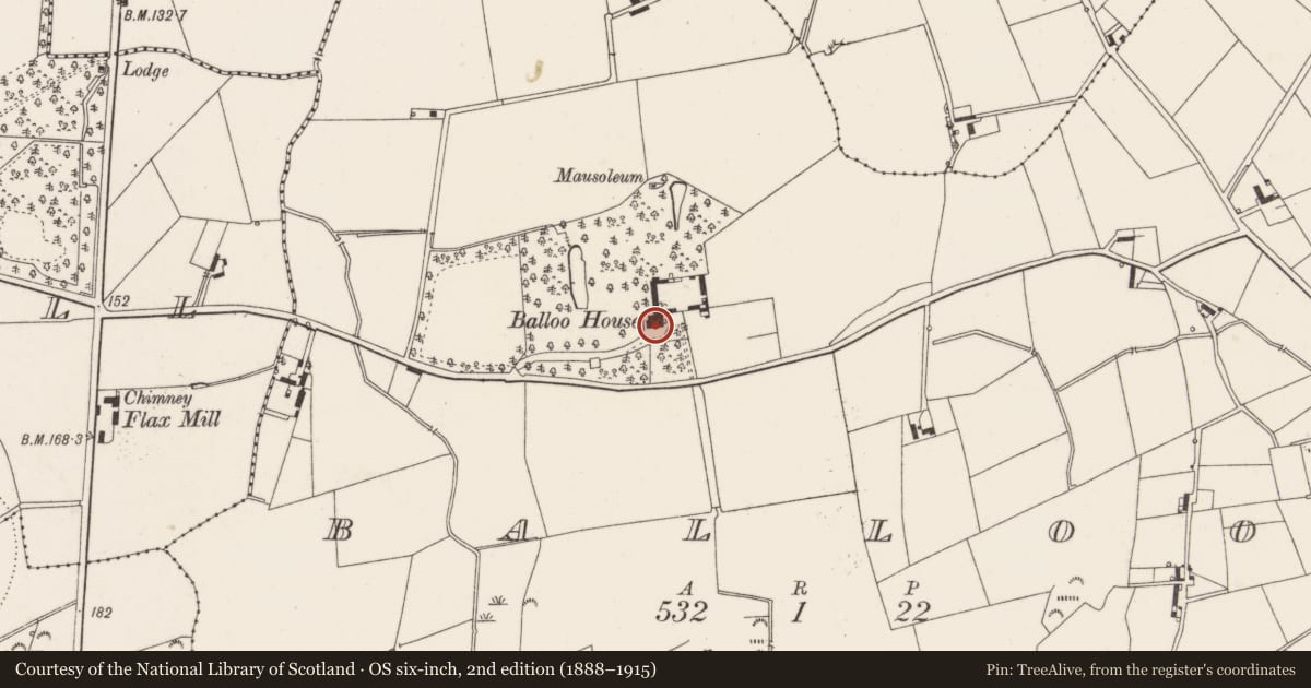 Ordnance Survey six-inch map, 2nd edition (1888–1915) covering the location of Balloo House, Ards and North Down, with a pin at the register's coordinates