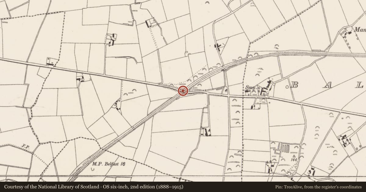Ordnance Survey six-inch map, 2nd edition (1888–1915) covering the location of Road-over-former railway Bridge, Ards and North Down, with a pin at the register's coordinates