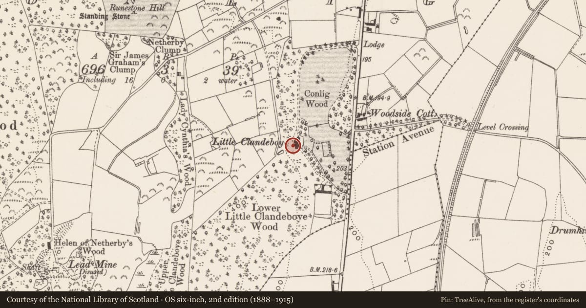Ordnance Survey six-inch map, 2nd edition (1888–1915) covering the location of Little Clandeboye, Ards and North Down, with a pin at the register's coordinates